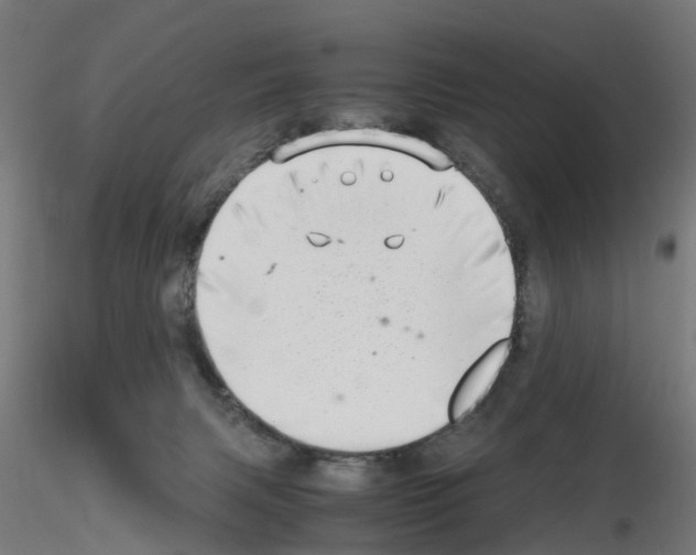 X0000115640079200912221319