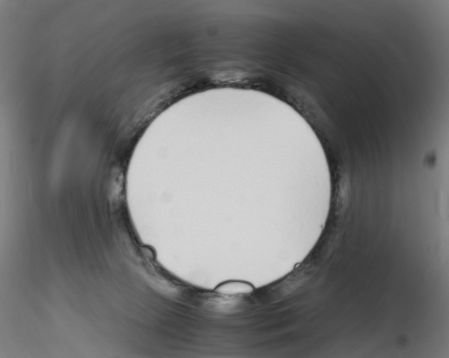 X0000115640081200912221319