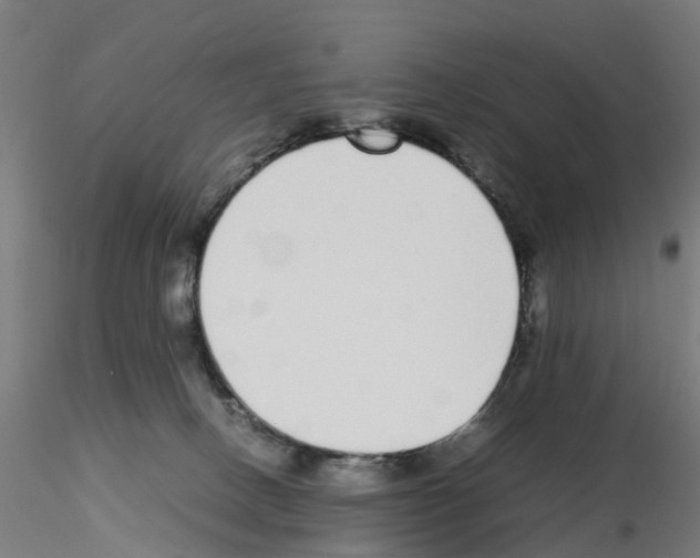 X0000115640082200912221319
