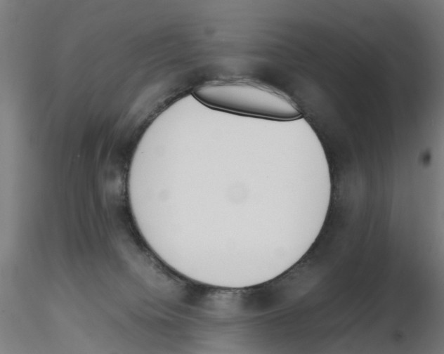 X0000115640084200912221319