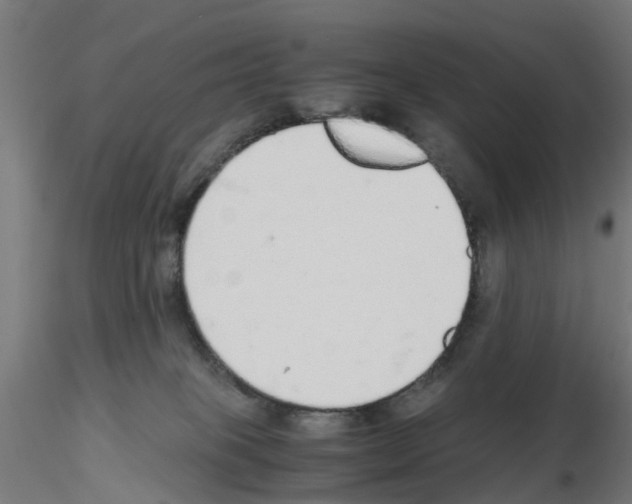 X0000115640085200912221319