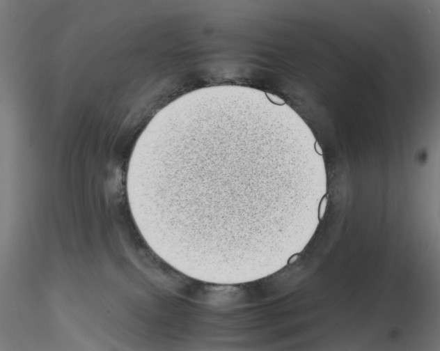 X0000115640087200912221319