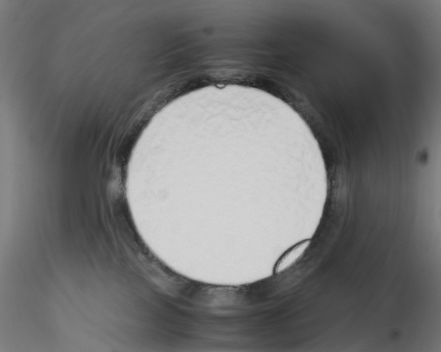 X0000115640089200912221319