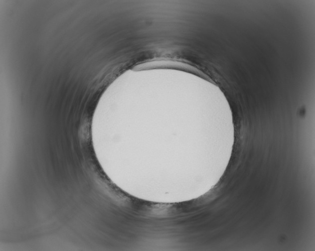 X0000115640090200912221319