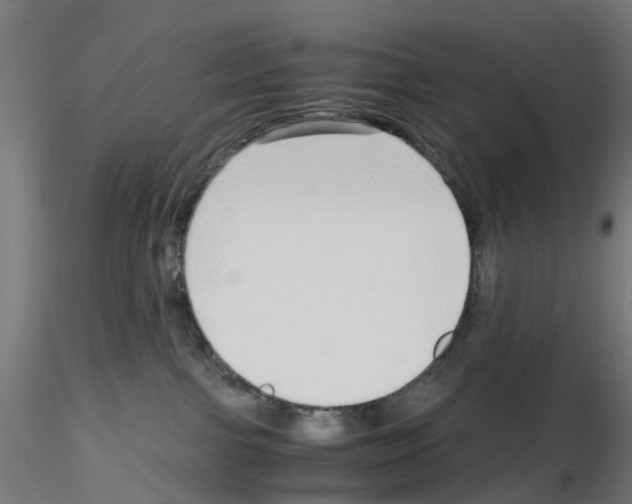 X0000115640091200912221319