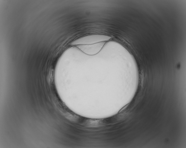 X0000115640093200912221319