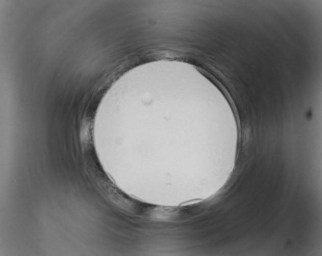 X0000115640094200912221319