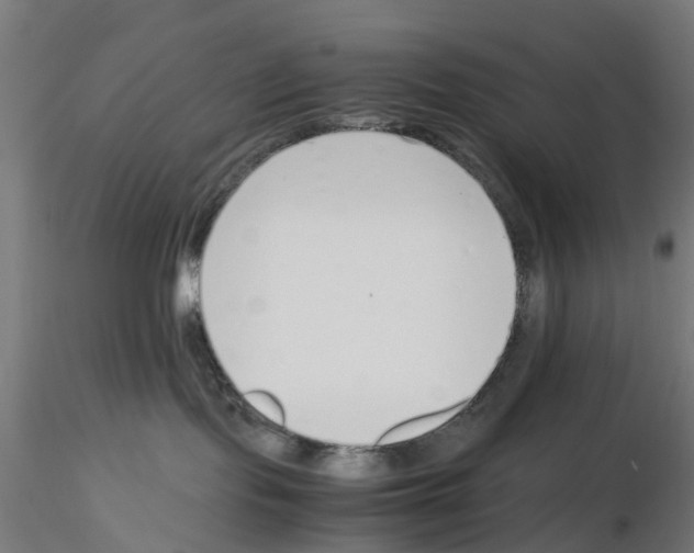 X0000115640095200912221319