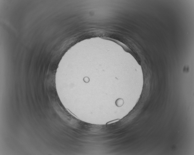 X0000115640096200912221319