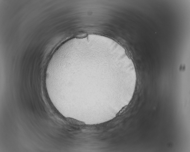X0000115640097200912221318