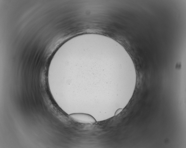 X0000115640098200912221318