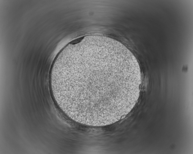 X0000115640099200912221318