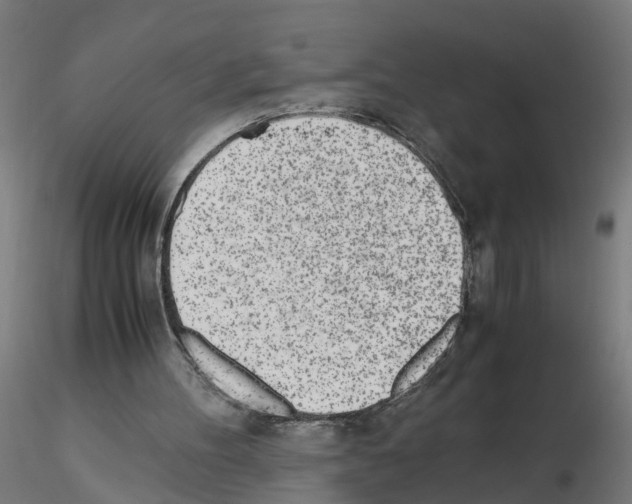 X0000115640100200912221318