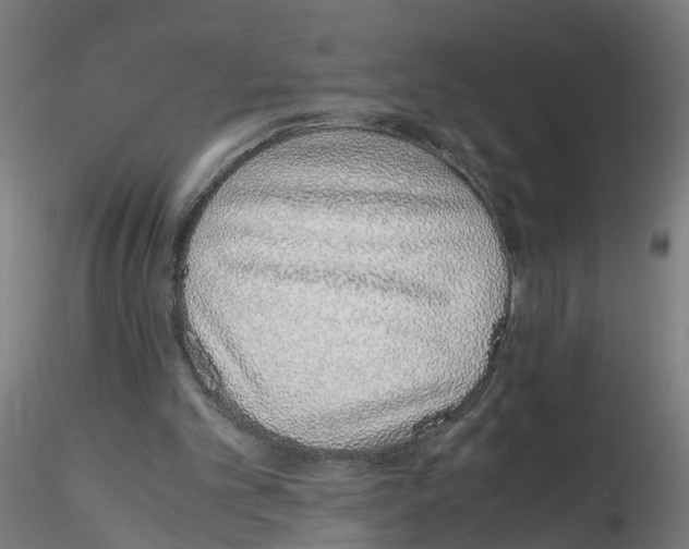 X0000115640101200912221318