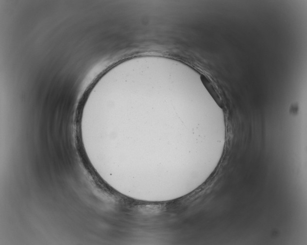 X0000115640102200912221318