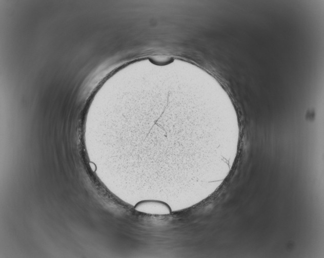 X0000115640103200912221318
