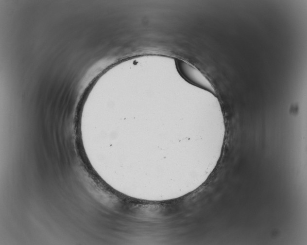 X0000115640104200912221318