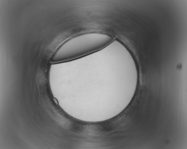 X0000115640105200912221318