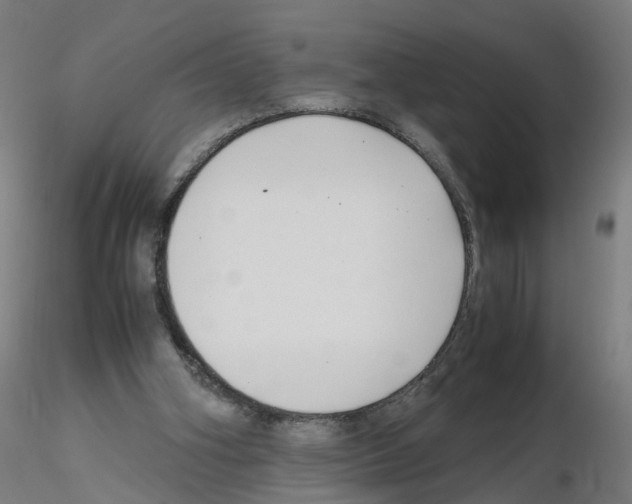 X0000115640106200912221318