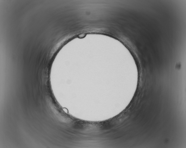 X0000115640107200912221318