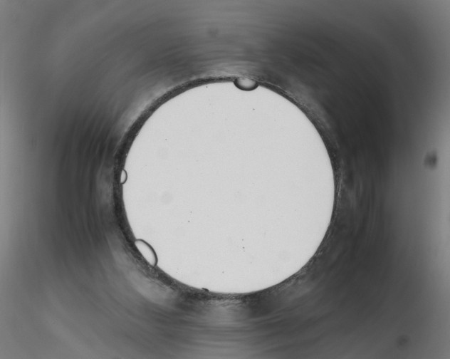 X0000115640108200912221318