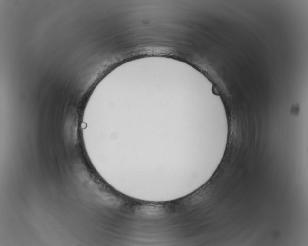 X0000115640110200912221318