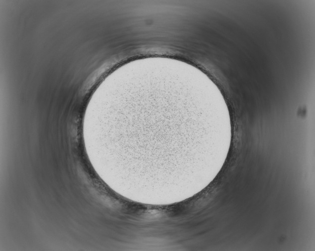 X0000115640111200912221318