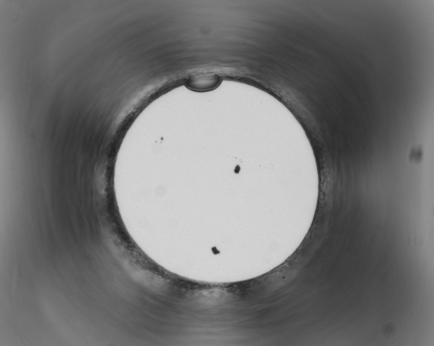 X0000115640112200912221318