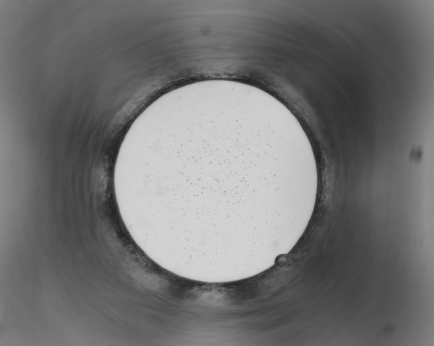 X0000115640113200912221318