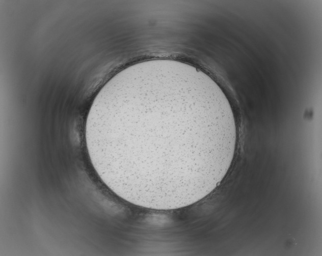 X0000115640114200912221318