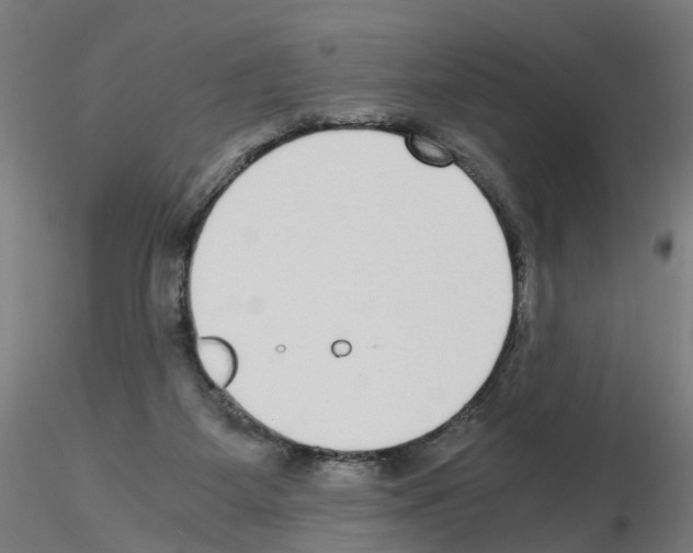 X0000115640115200912221318