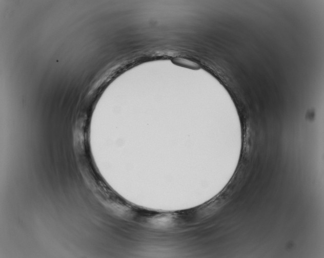 X0000115640116200912221318
