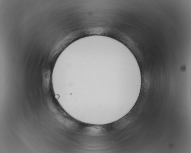 X0000115640118200912221318