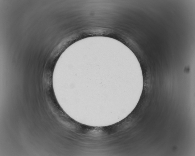 X0000115640119200912221318