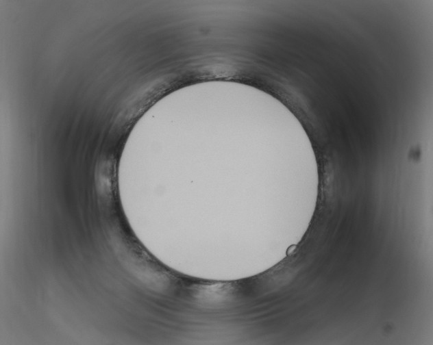 X0000115640122200912221318