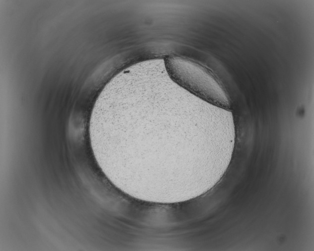 X0000115640124200912221318