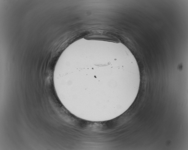 X0000115640125200912221318