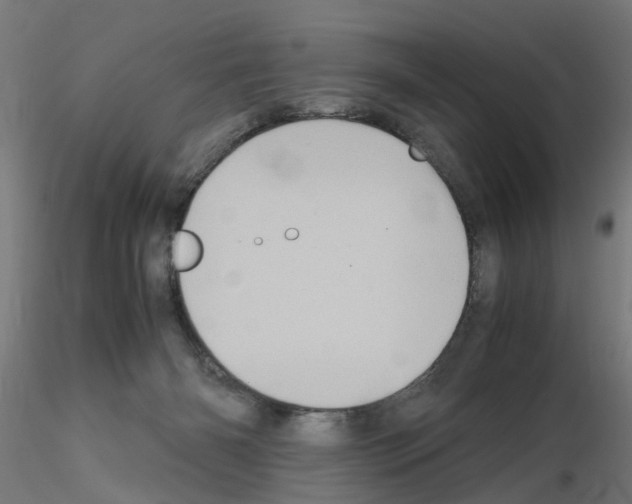 X0000115640126200912221318