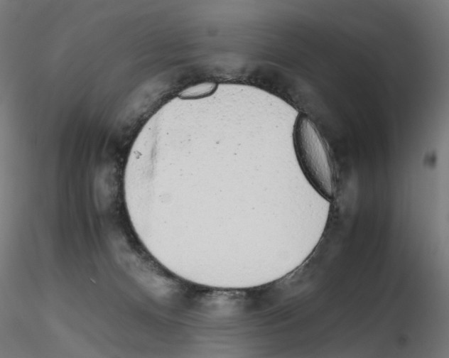 X0000115640128200912221318