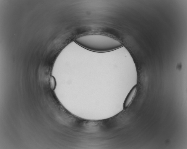 X0000115640129200912221318