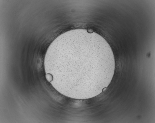 X0000115640130200912221318