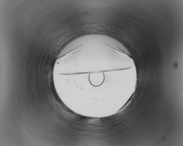 X0000115640132200912221318
