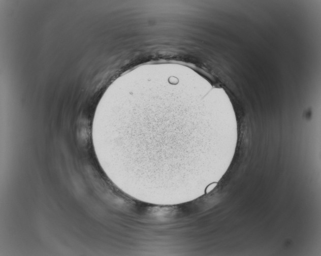 X0000115640135200912221318