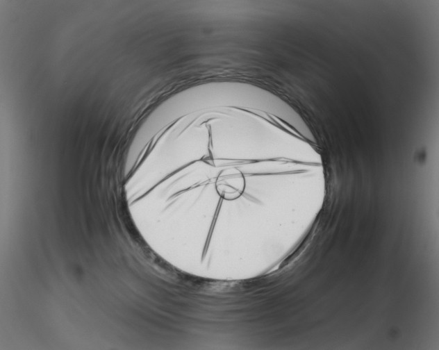 X0000115640136200912221318