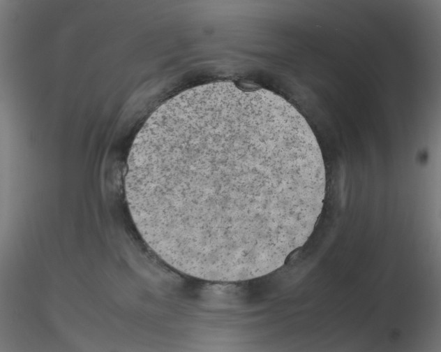X0000115640137200912221318