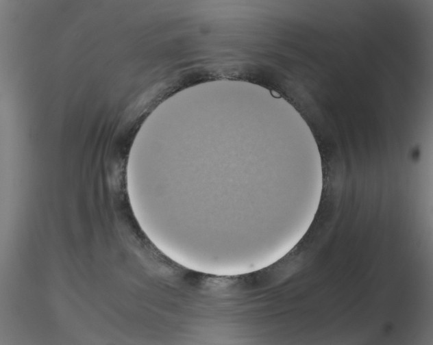 X0000115640139200912221318