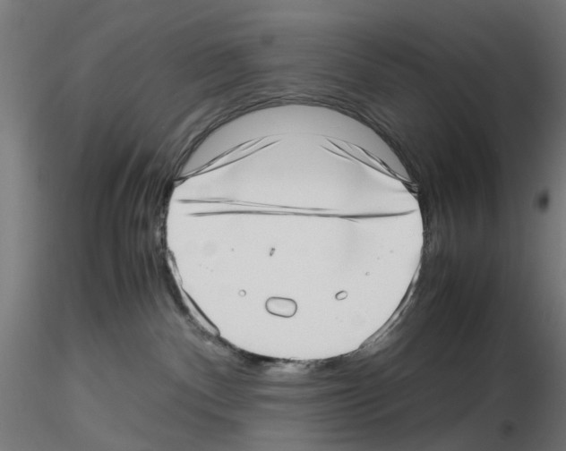 X0000115640140200912221318