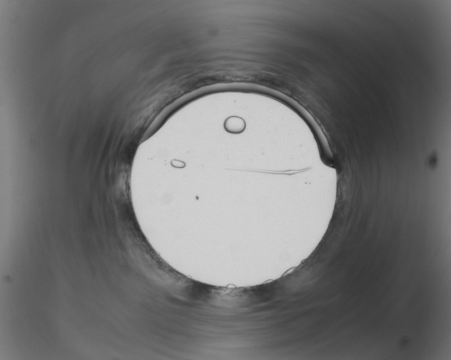 X0000115640141200912221318