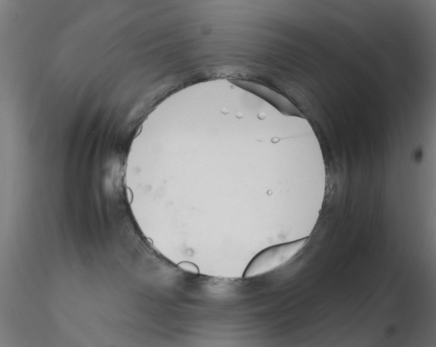 X0000115640142200912221318