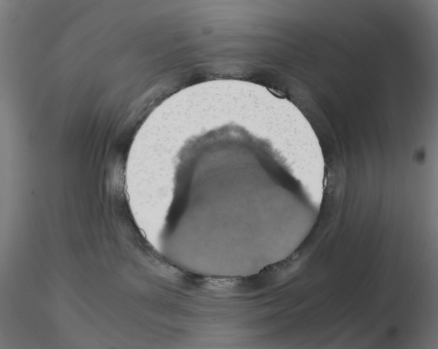 X0000115640143200912221318